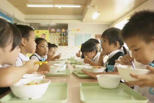 两部门要求严把中小学幼儿园食堂食品经营准入关